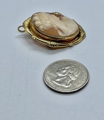Vintage Gold Filled Carved Shell Lady CAMEO Left Facing Ornate Frame Brooch
