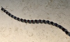 ❤️✨VINTAGE Sterling Silver EMERALD CUT GARNET & MARCASITE ESTATE Tennis Bracelet
