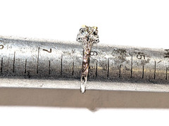 VINTAGE ANTIQUE 18K WHITE GOLD EUROPEAN ROSE CUT DIAMOND RING