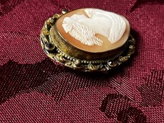 2 Antique Shell Cameo Brooches Pins One Is Ornate & Bejeweled