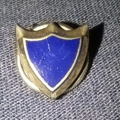 Gold Tone Blue Enamel Shield Pin Brooch Lapel Pin – Unisex Adults