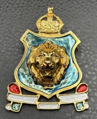 HUGE Accessocraft NYC 80s Vintage Leo Lion Shield Crown Brooch Gold Tone Enamel