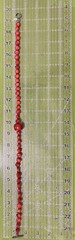 Vintage Necklace Bamboo Red Coral Beaded Main Center Stone Toggle 19.5″