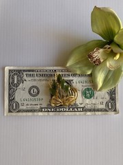 VINTAGE Jade Filigree Brooch Pin Gold Tone Bouquet China Gem Corporation Taiwan