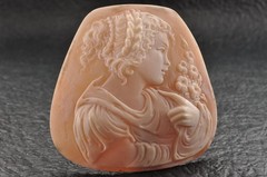 9 items , vintage shell cameo White and brown color (Total 323.0ct) with case.