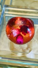 Lucite Resin Ring Encased Flowers Size 8 Pink Orange Translucent Groovy