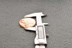 Vintage shape shell cameo, “Woman Sitting on a Terrace” (52.5ct), sign by artist