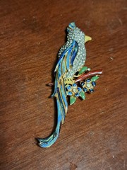vintage costume jewelry brooche Bird