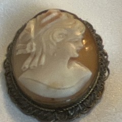 Vintage Hand craved Shell Cameo Brooch and Pin combo with filigree frame