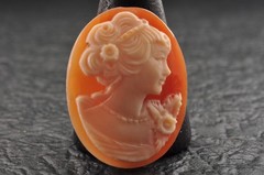 9 items , vintage shell cameo White and brown color (Total 323.0ct) with case.
