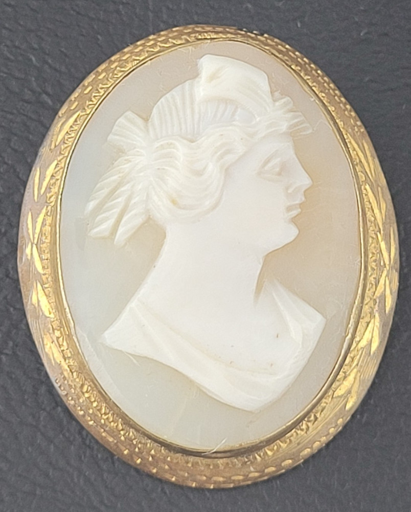 Vintage Cameo Brooch READ