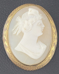 Vintage Cameo Brooch READ