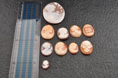 10 items , vintage shell cameo White and brown color (Total 206.0ct) with case.