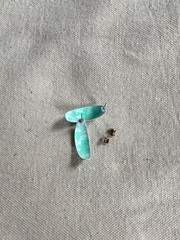 vintage 80s hoop earrings / 1980s marbled mint crescent dome hoop pushbacks