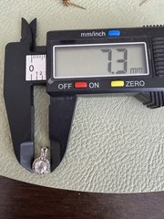10K White Gold Pendant