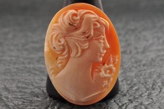 8 items , vintage shell cameo White and brown color (Total 157.5ct) with case.
