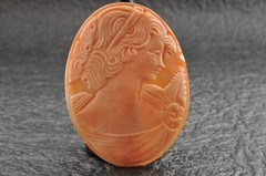 8 items , vintage shell cameo White and brown color (Total 157.5ct) with case.