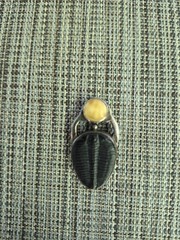 Vintage Trilobite/Amber Pendant Set In Sterling Silver.