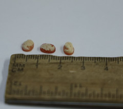 (5) Vintage Micro Shell Cameos