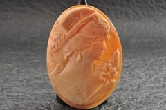 8 items , vintage shell cameo White and brown color (Total 157.5ct) with case.