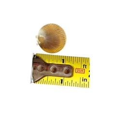 Vintage Christian Dior Women’s Jewelry Gold-Tone Clam Seashell Clip-On Earrings