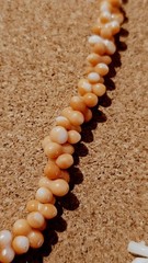 Vintage Natural Coral Necklace Angel Skin Salmon Bead White Branch EUC