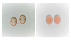 A Collection of 13 Cameos in Different Sizes