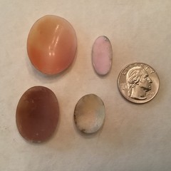 Lot of 4 Unmounted Antique & Vintage Carved Shell Cameos – SALE PRICED