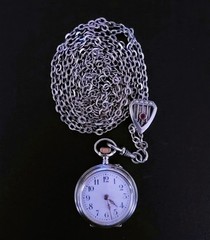 Victorian .800 Silver 57″ Guard Chain Watch Pendant Necklace Garnet Pearl Slide
