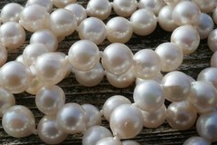 Vintage 14kt Yellow Gold & 6.4mm Cultured Pearl Necklace – 22.5″ Long