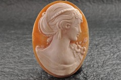 8 items , vintage shell cameo White and brown color (Total 157.5ct) with case.