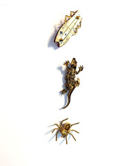 Trio of Vintage Czech Insect and Animal Pins