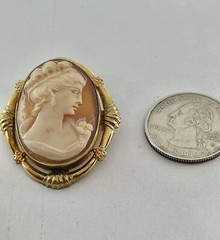 Vintage Gold Filled Carved Shell Lady CAMEO Left Facing Ornate Frame Brooch