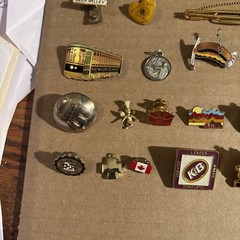 30 Various Pins And Pendants