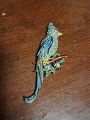vintage costume jewelry brooche Bird