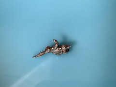Vintage Sterling Silver Charm Alice in Wonderland Late White Rabbit Charm 2.7g