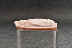 Vintage shell cameo carved “Woman with a feathered hat” (58.5ct) sign by artist.