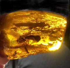 2.50” Slab Amber Pin