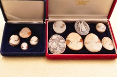 11 items , vintage shell cameo White and brown color (Total 302.0ct) with case.