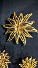 Vintage Gold-Tone Starburst Brooch & Clip-On Earrings Set Costume Jewelry