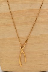 Madewell Wishbone Pendant Necklace Brushed Gold Minimalist Lucky Charm BinBE