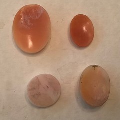 Lot of 4 Unmounted Antique & Vintage Carved Shell Cameos – SALE PRICED