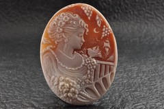 10 items , vintage shell cameo White and brown color (Total 206.0ct) with case.