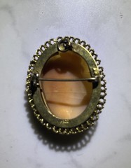 Vintage Cameo Pendant and/or Brooch Pin Set in a Gilt Sterling Silver Mount