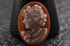 10 items , vintage shell cameo White and brown color (Total 206.0ct) with case.