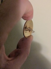 Bronze Colored Pin