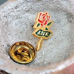 VTG Symbols Of Love Red Green Gold Tone Enamel Rose LIFE Lapel Frog Pin Brooch