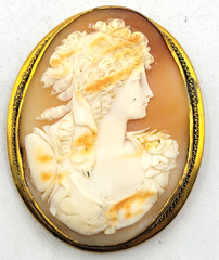 Vintage Carved Shell Cameo