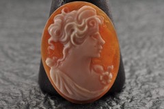 8 items , vintage shell cameo White and brown color (Total 157.5ct) with case.