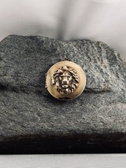 Vintage Lion Locket Necklace, Antique Brass Photo Pendant Pill Keepsake Box